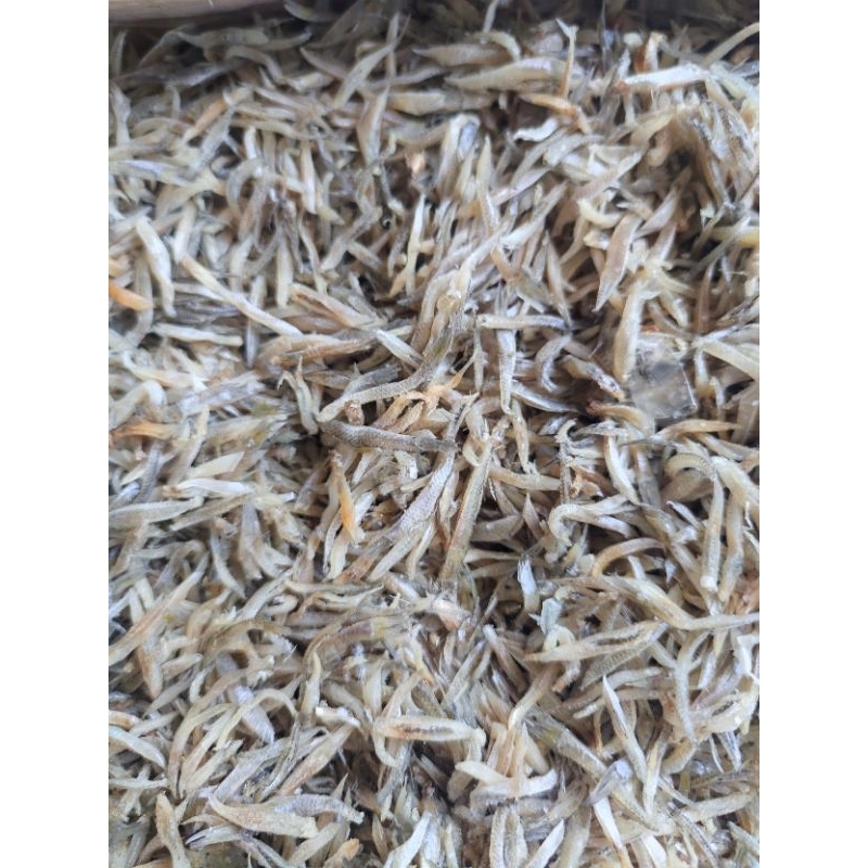 

IKAN ASIN TERI GUNTING 250GR