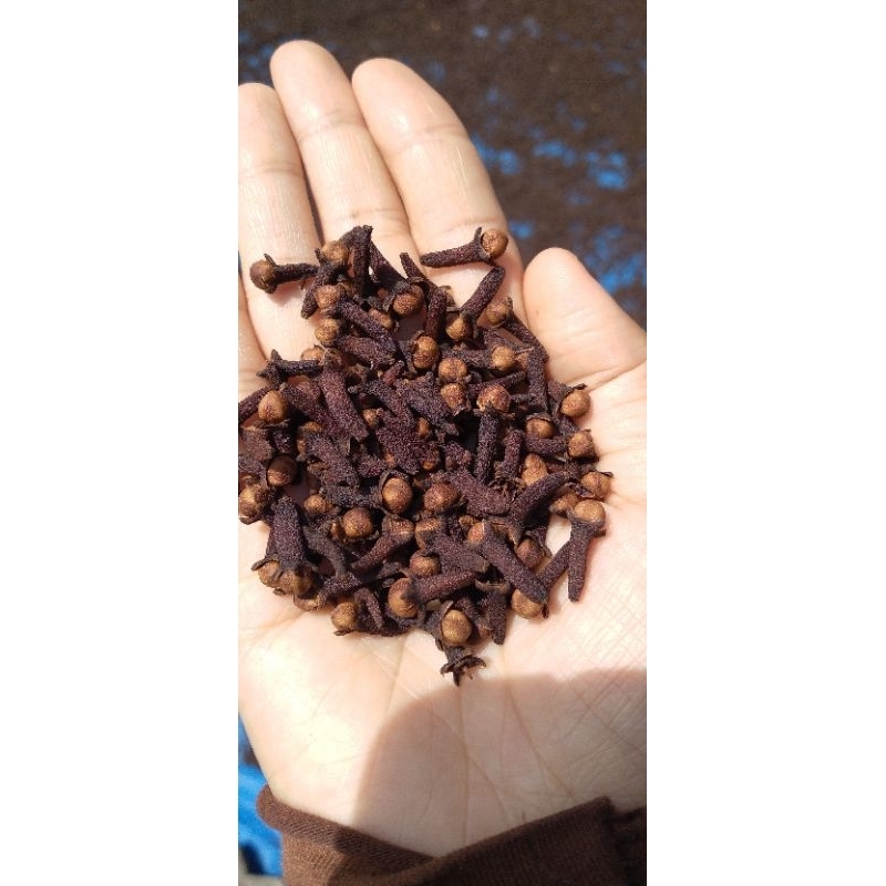 

Cengkeh Original / Termurah / Rempah-rempah