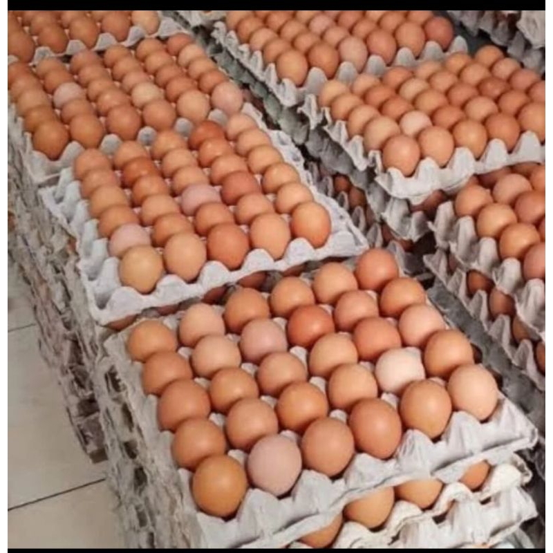 

Telur ayam negeri original(dipacking dengan aman)