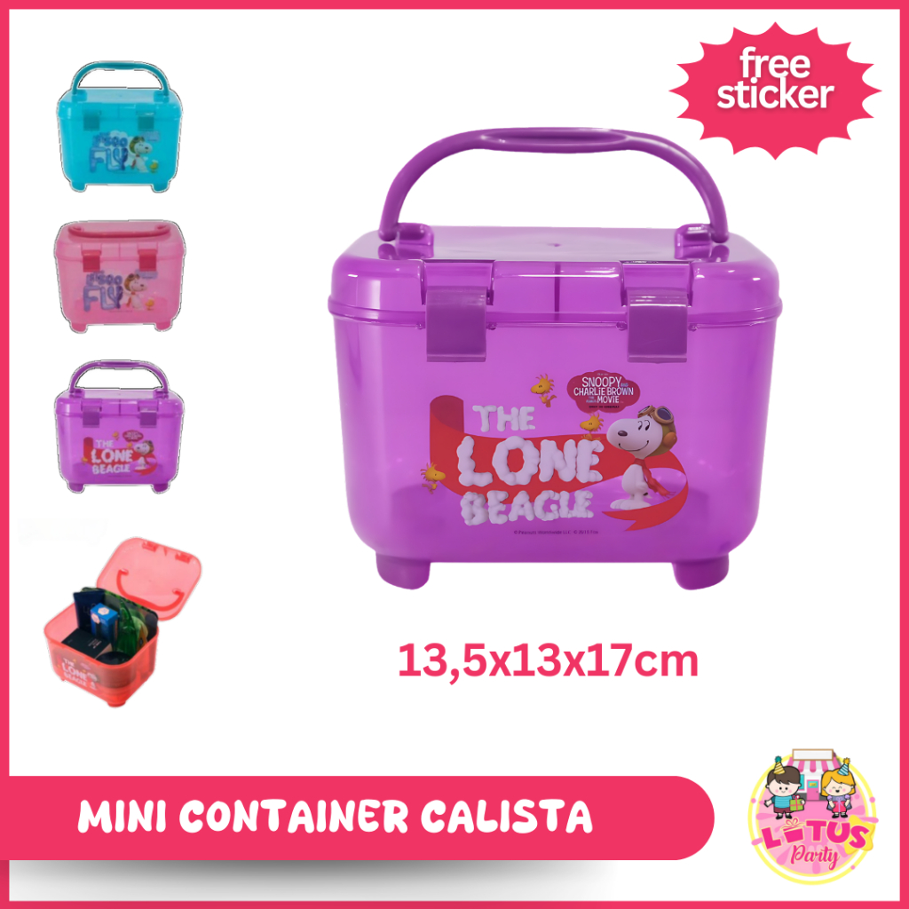 MINI CONTAINER CALISTA/KOTAK ULANG TAHUN/KOTAK SERBAGUNA/MINI CONTAINER BOX