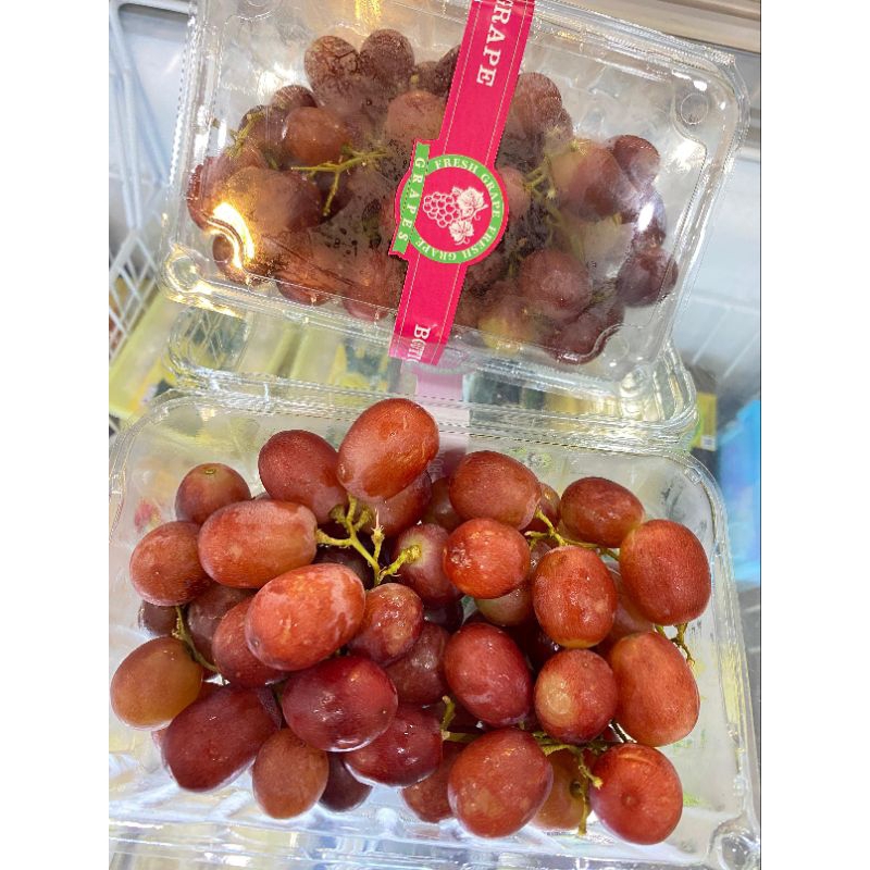 

ANGGUR RED MUSCAT - HALONA