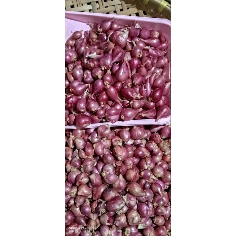 

bawang merah & bumbu dapur