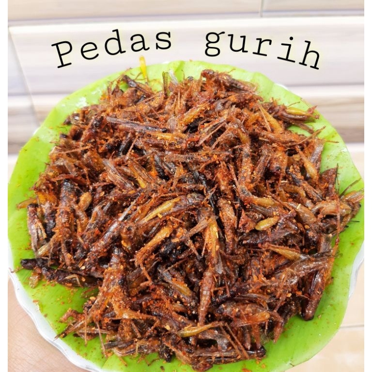 

Real produk belalangwalangsimeut goreng kecil oleh2 tradisional majalengka