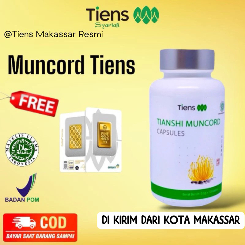 MUNCORD TIENS | CORDYCEPS TIENS | OBAT CINA