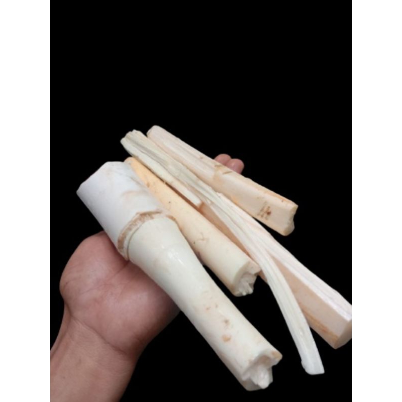 

umbut suangkung 1 kg