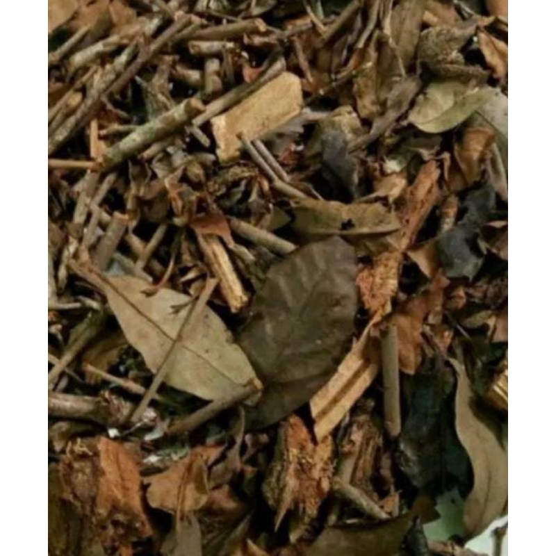 

Teh Benalu 150 Gram Obat Herbal Tradisional Kanker Dan Tumor Termurah