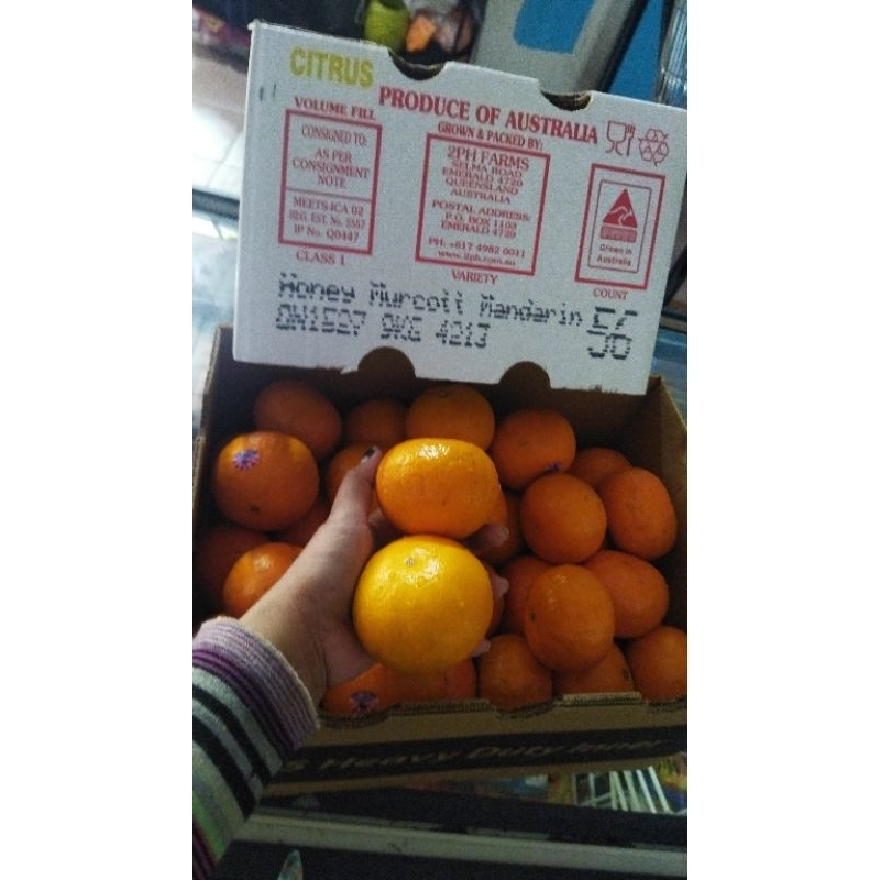 

jeruk honey murcot Aust 2ph citrus/ kg