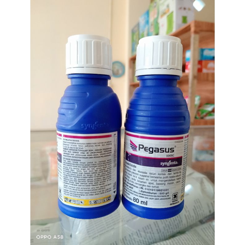 PEGASUS Insektisida 80ml