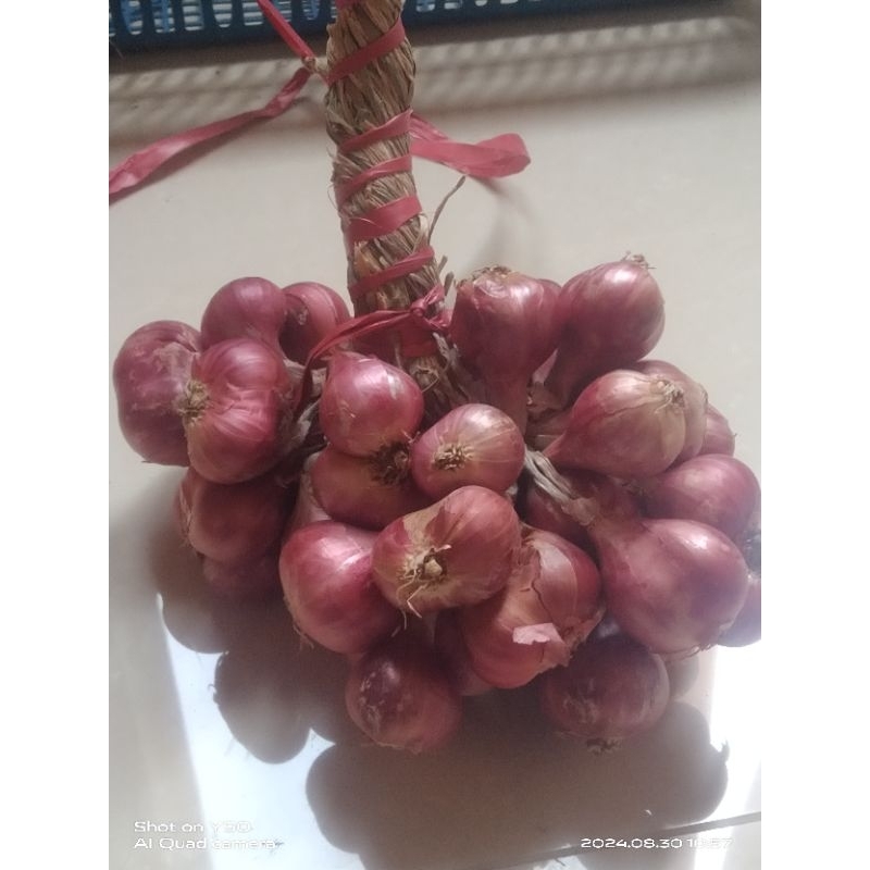 

(BISA COD) BAWANG MERAH SUPER PROBOLINGGO 1KG