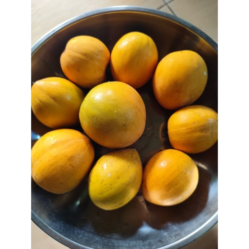 

buah kesa/alkesa/ sawo mentega 1 kilo