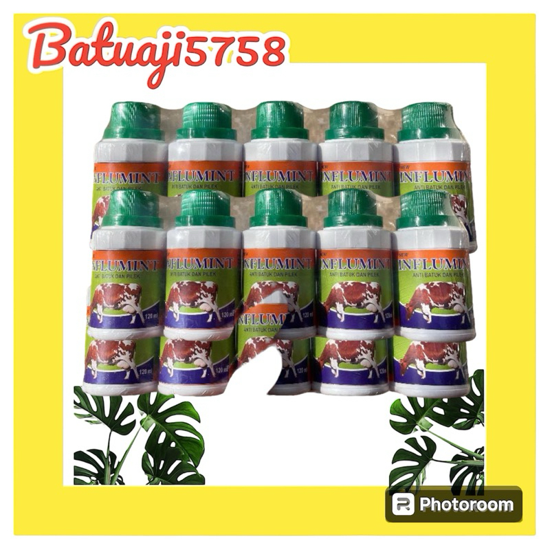 Fludoxin 120ml/Obat Pilek Sapi Kambing/influmint