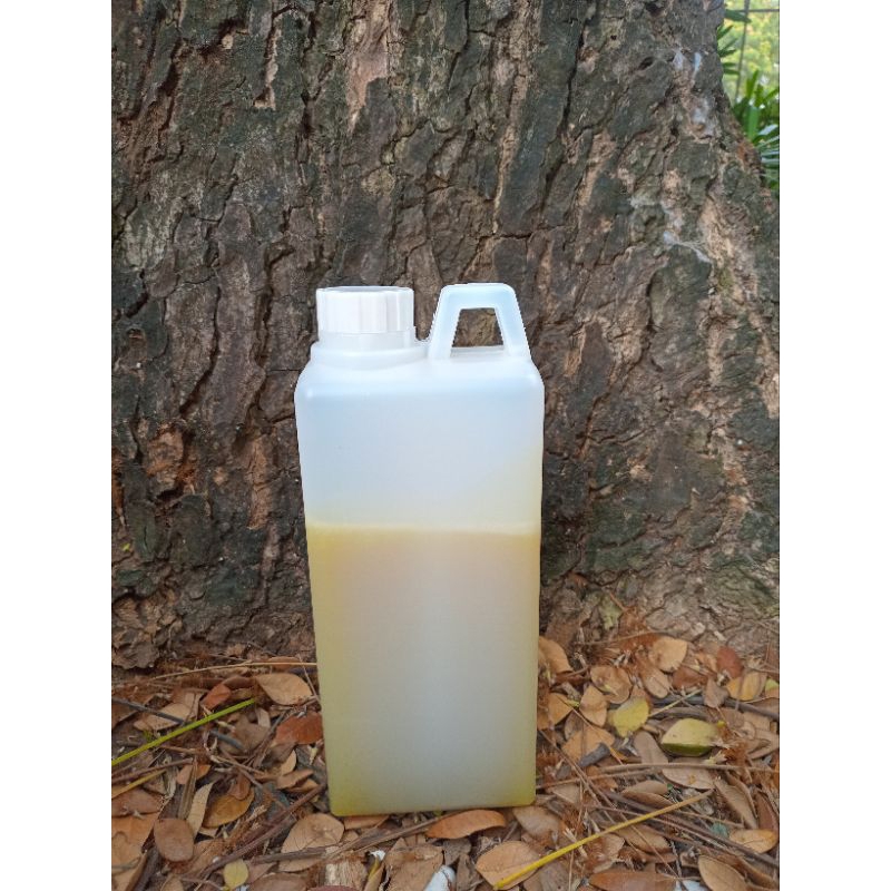 

madu kaliandra pure naturan honey