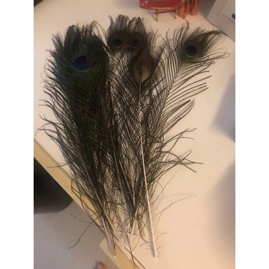 1pcs Replika Bulu Merak Sintetis Bulu Merak Bulu Burung Sintetis