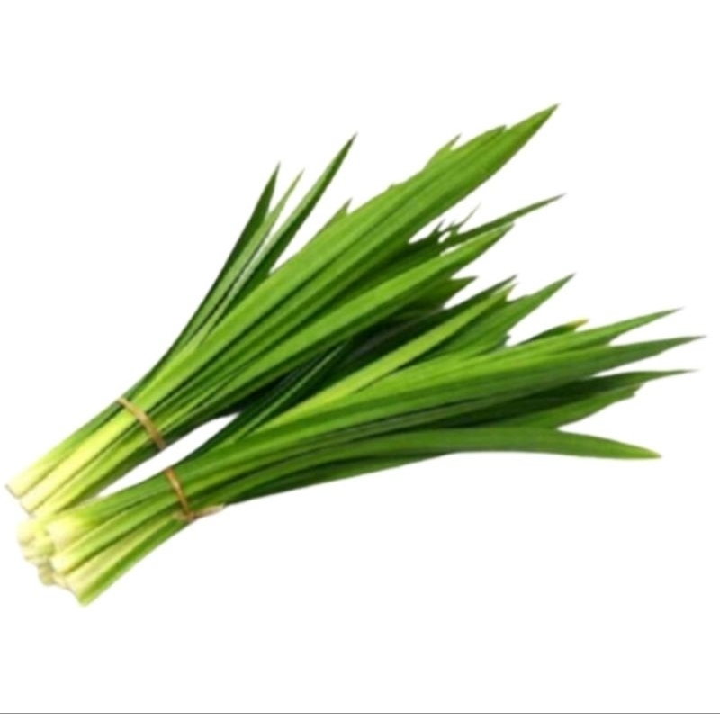 

daun pandan wangi