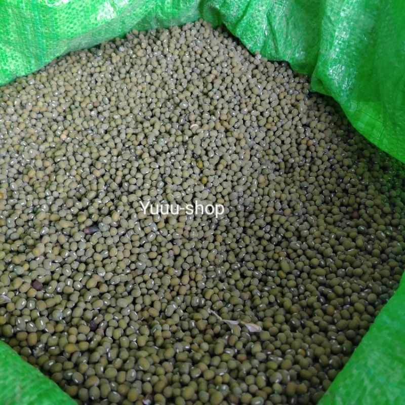 

Kacang Hijau Atau Biji Kacang Ijo Mentah Kualitas SUPER Nomor Satu