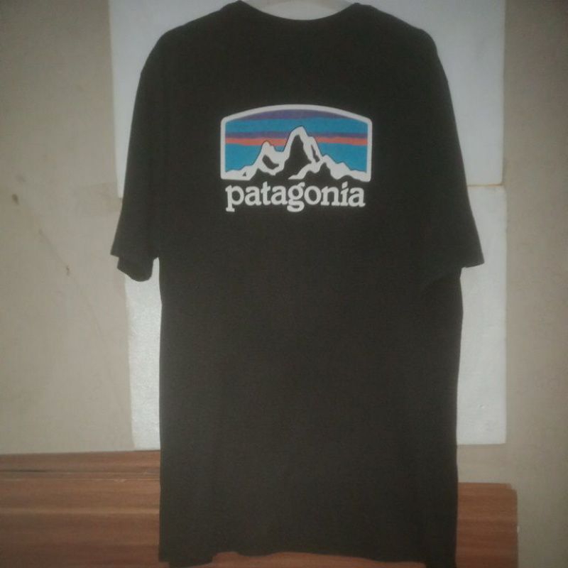 PATAGONIA t-shirt Size XL SECOND ORIGINAL