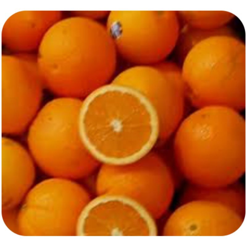 

SANGKIS / Pasar Makassar