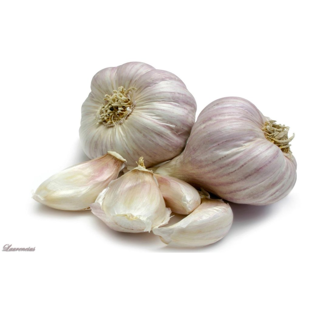 

Bawang putih area bandung cimahi