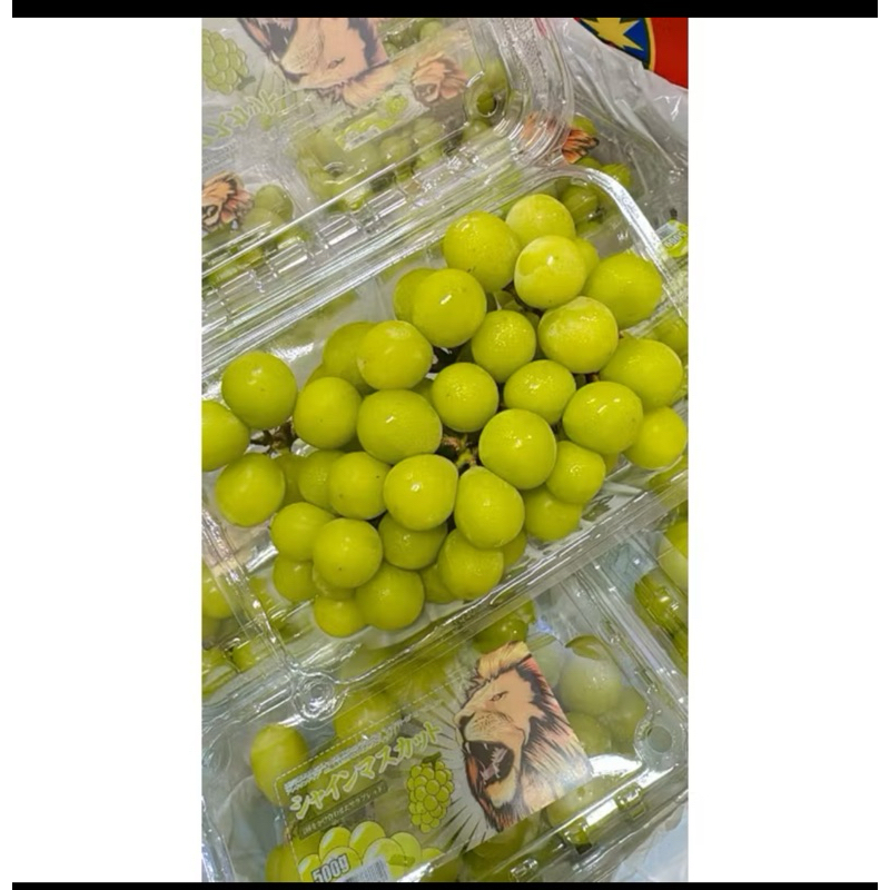 

Anggur Muscat buah 1kotak