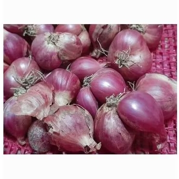 

Bawang Merah Murah Kemasan 1kg Asal Nganjuk