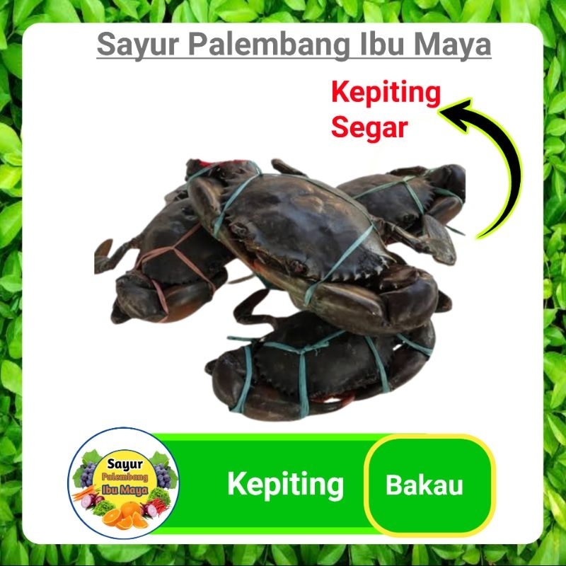 

Kepiting Bakau - Sayur Sayuran Mayur Segar Palembang