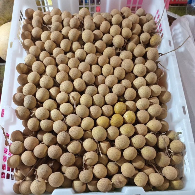 

Kelengkeng Thailand (500Gram)