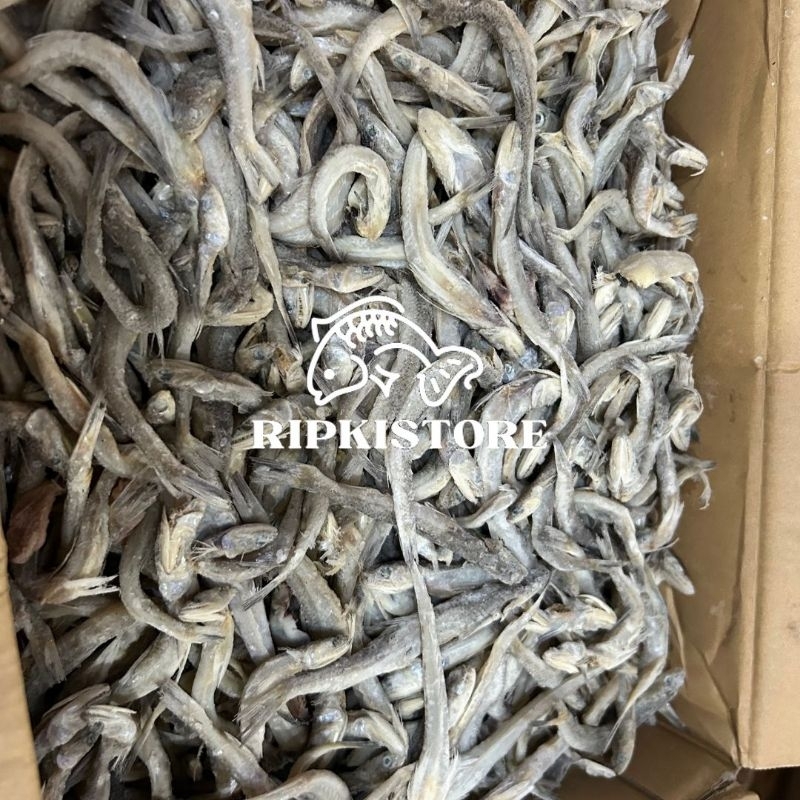 

Ikan Asin Kacangan 500gram