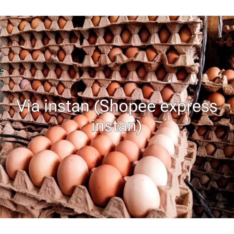 

Telur ayam segar isi 15 & 30