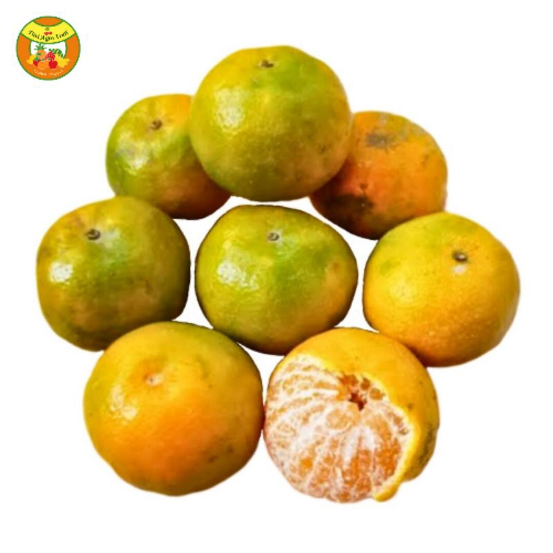 

Jeruk Medan Manis 1 KG