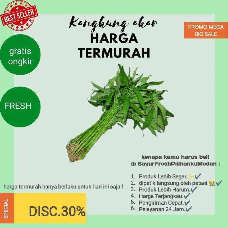 

sayur kangkung akar Brastagi 1 ikat termurah |sayur segar Medan |siap kirim gratis ongkir