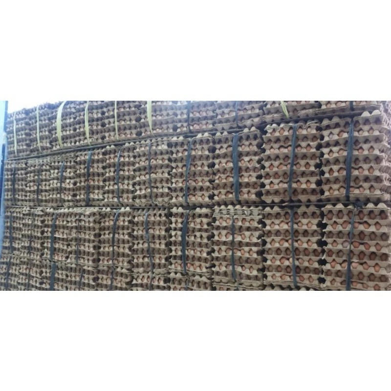 

TELUR AYAM NEGERI FRESH DAN TERMURAH PER KG (15-16 btr)