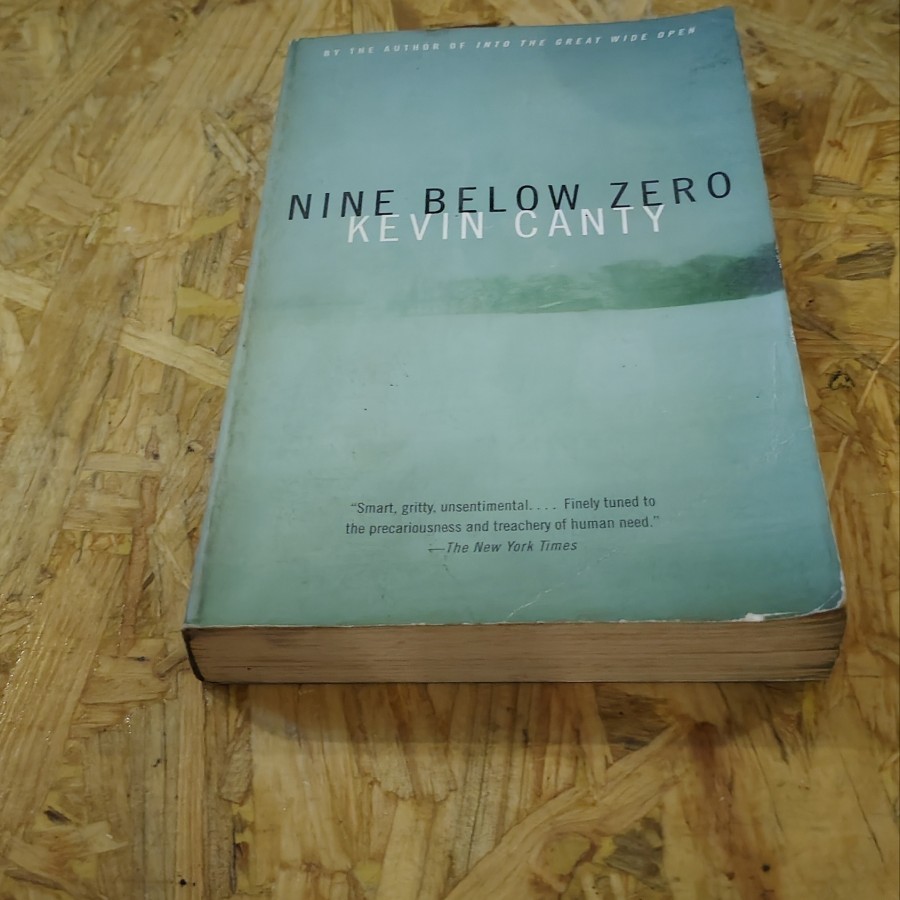 Novel Nine Below Zero English