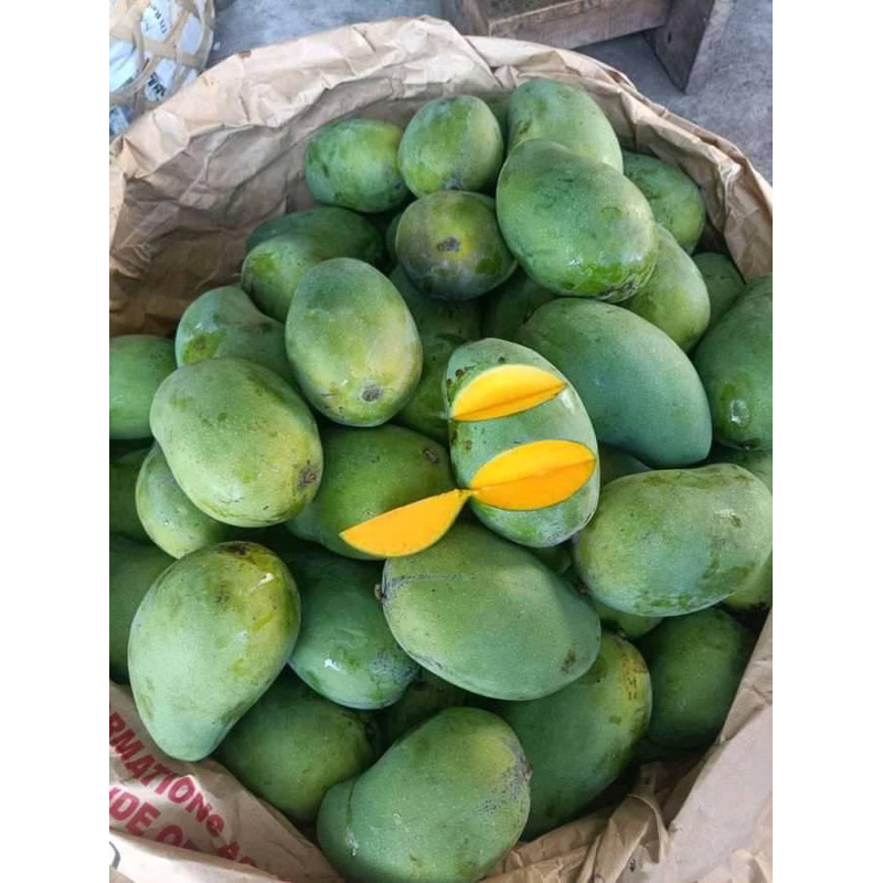 

READY STOK MANGGA HARUM MANIS, MANGGA MANALAGI