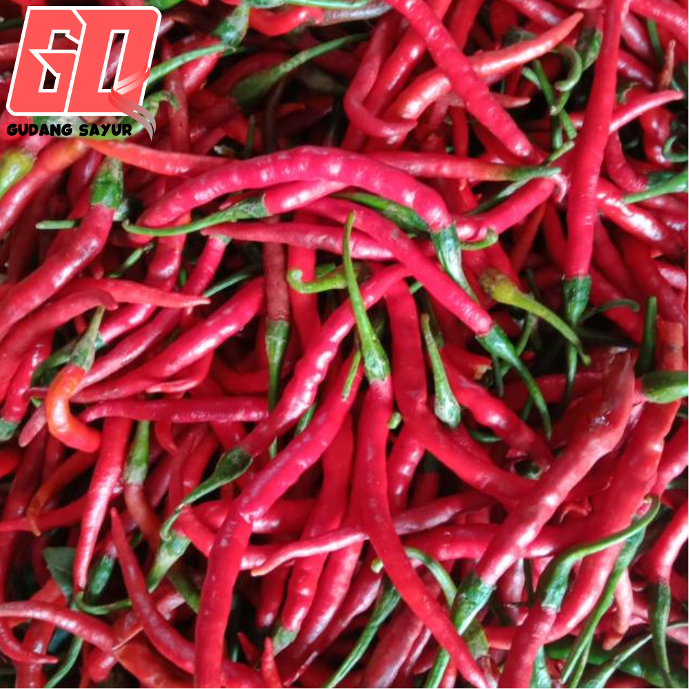 

Cabe / Cabai Keriting Merah Fresh & Segar 1KG | 500GRAM | 250GRAM | 100GRAM