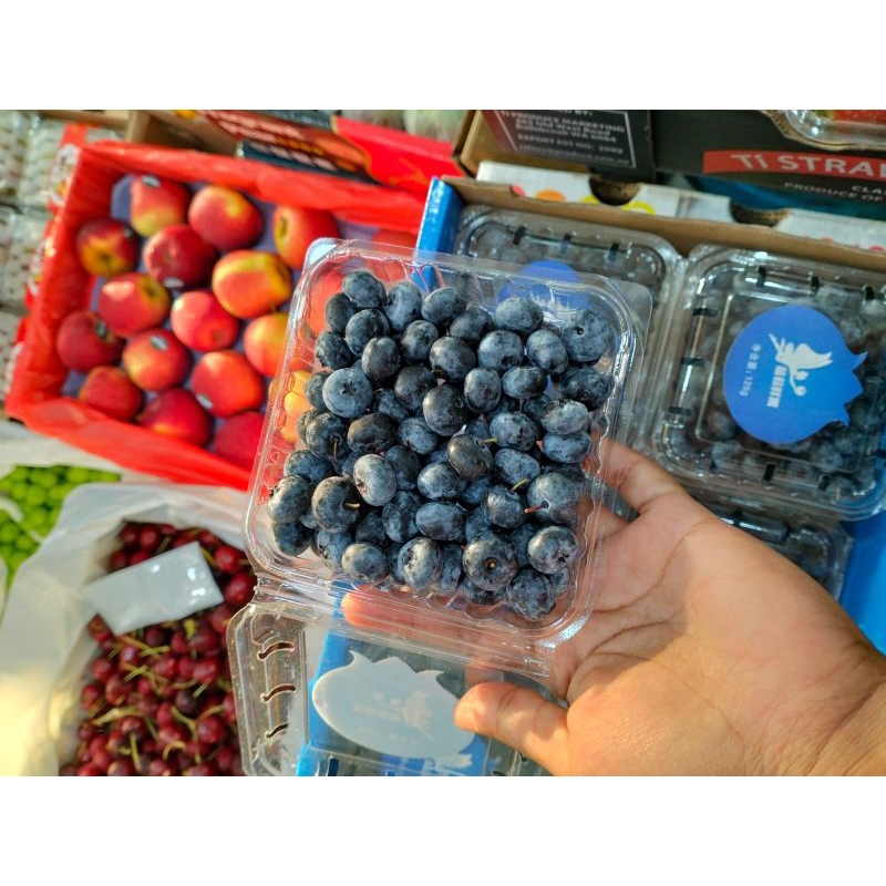 

BLUEBERRY CHINA - HALONA
