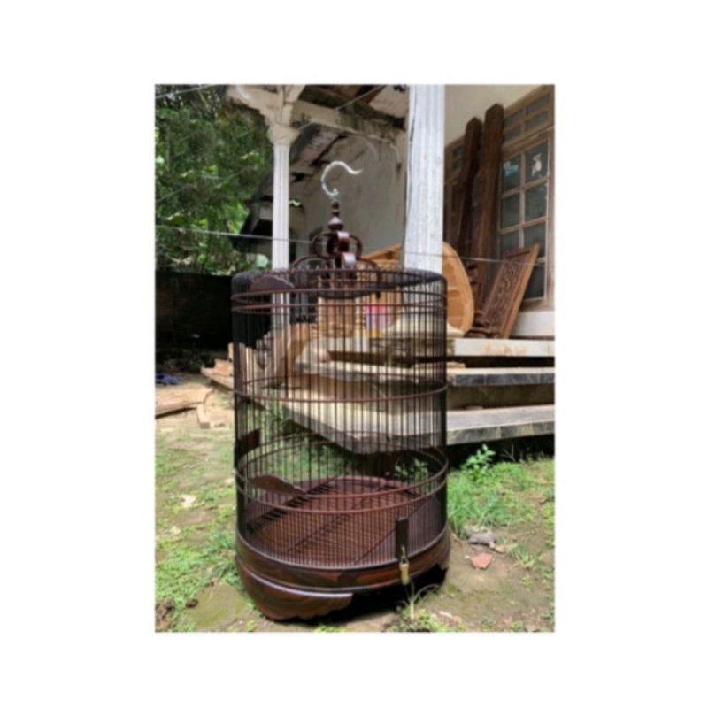 SANGKAR MURAI POLOSAN NO 1 SANGKAR MURAI SONO KELING KANDANG BURUNG MURAI