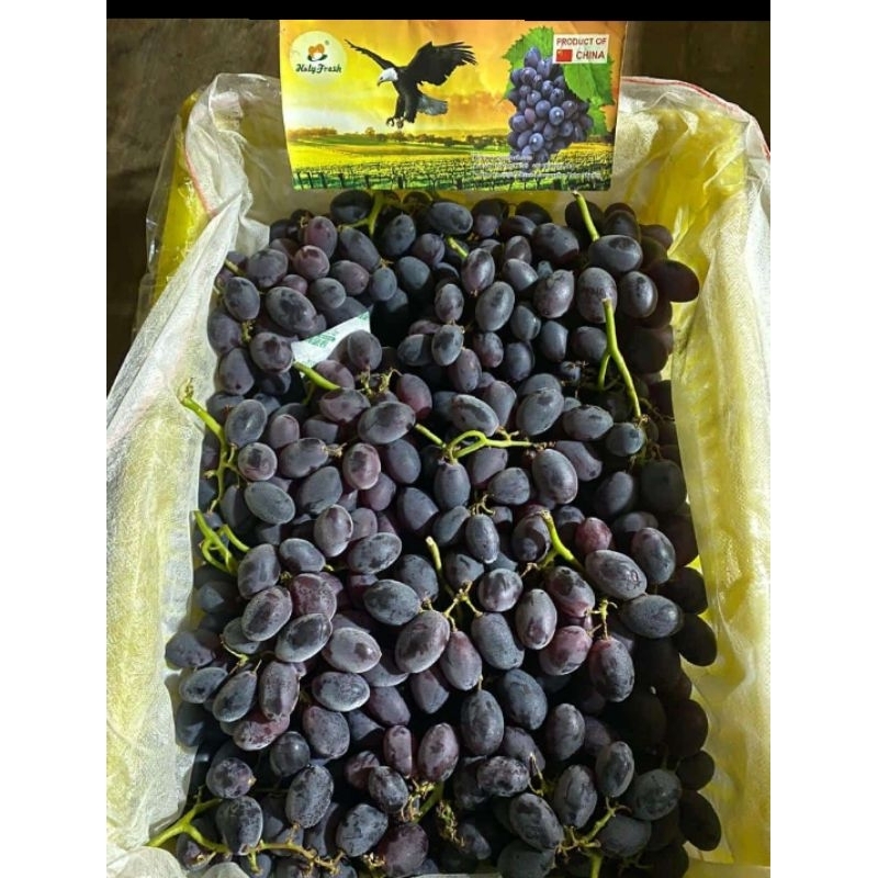 

Anggur Auntum Super Manis per KG