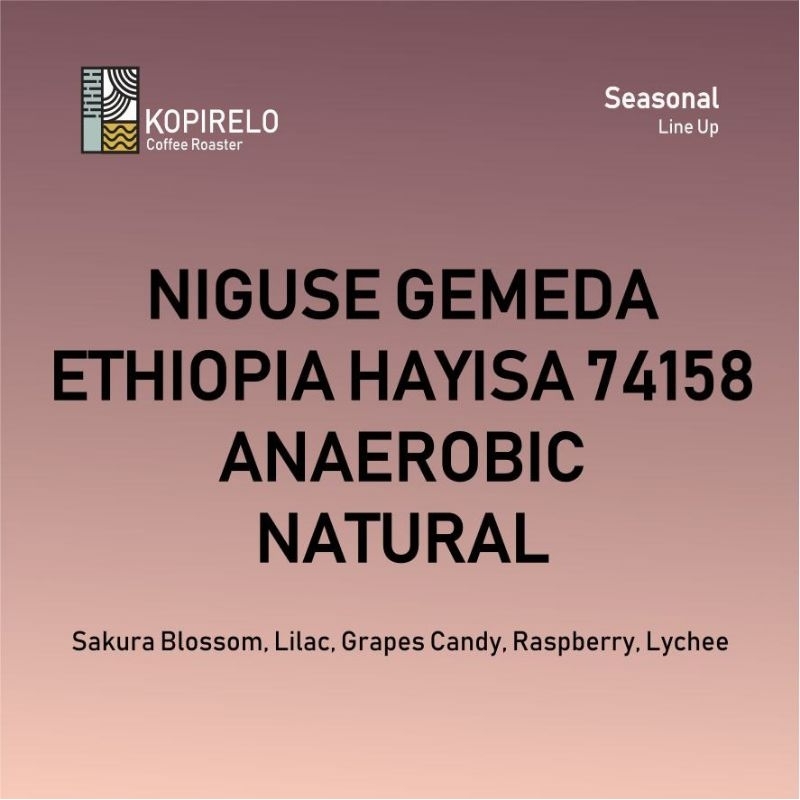 

Exotic Release - Niguse Gemeda Mude Ethiopia Hayisa 74158 Anaerobic Natural