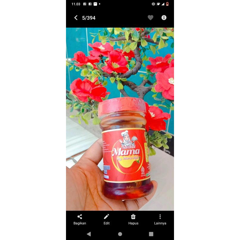 

SAMBAL AYAM SUIR { 150 G }