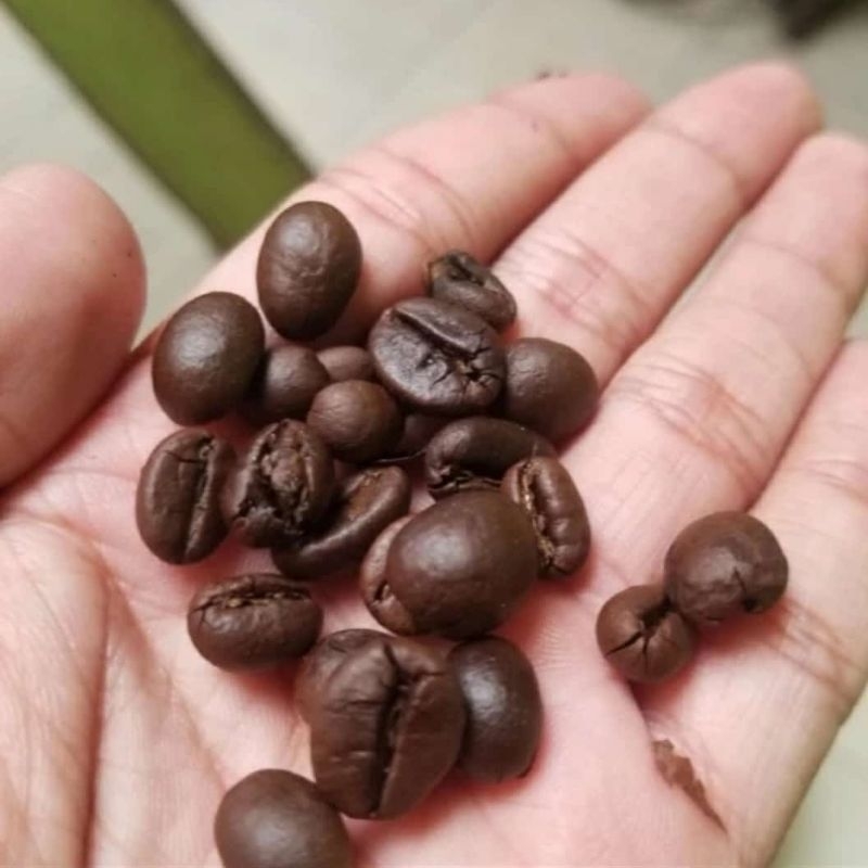 

stiker kopi
