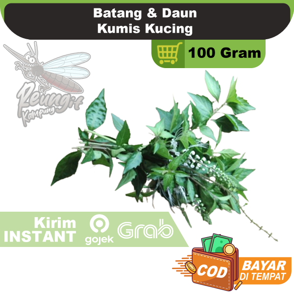 

Daun Dan Batang Kumis Kucing 100 Gram