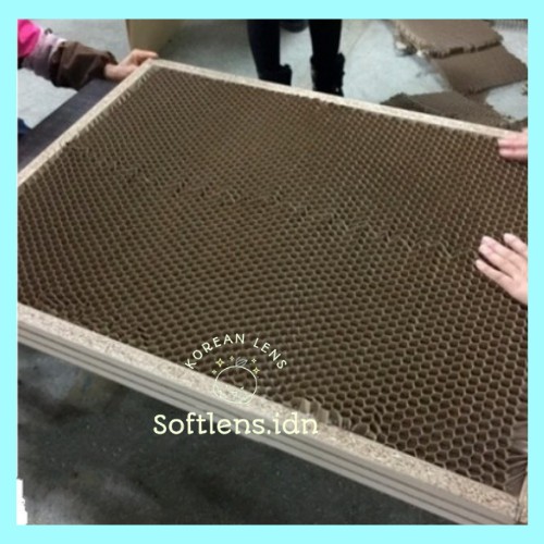 HONEYCOMB CORE COAT PAPER ISIAN PANEL PINTU KAYU FURNITURE - Tebal 30mm