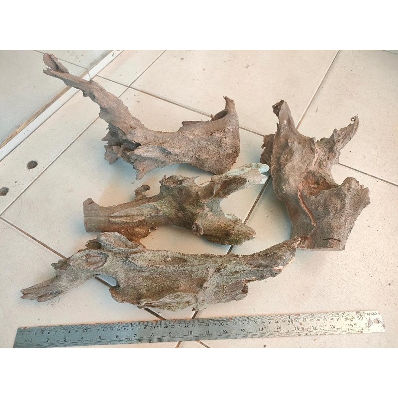 kayu rentek UK size xl kayu renteh aquascape kayu dekorasi aquarium