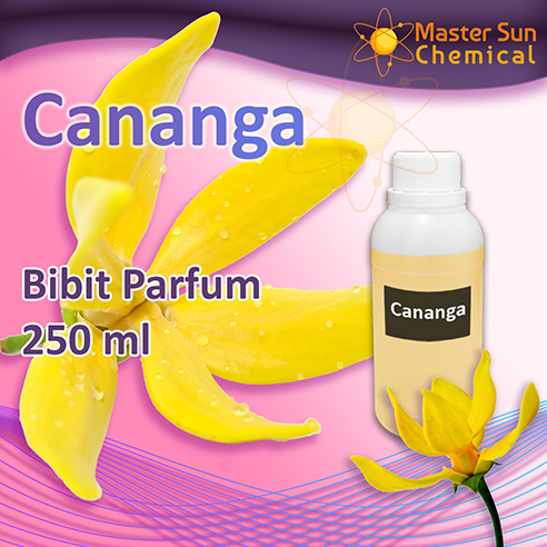 Bibit Parfum Wangi Cananga  -  Biang Parfum Bunga Kenanga - Ylang Ylang