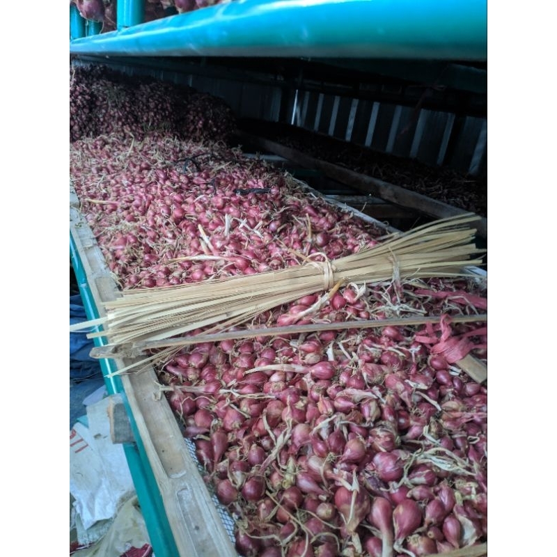 

bawang merah 250 gram kualitas super