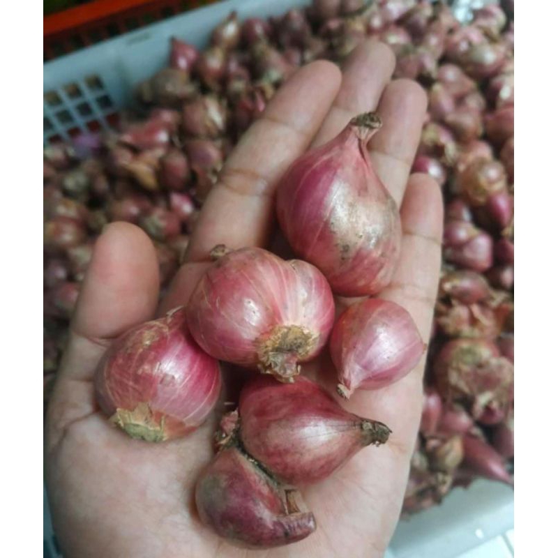 

bawang merah probolinggo 500 grm , 250grm