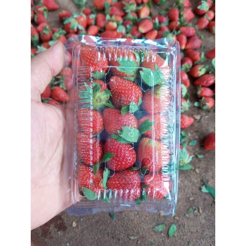 

Strawberry Murah AL 1pack 162gr
