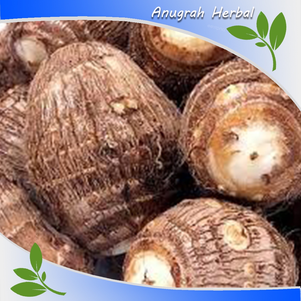 

Umbi Talas Pulen 1 kg -Ubi Talas Segar Fresh