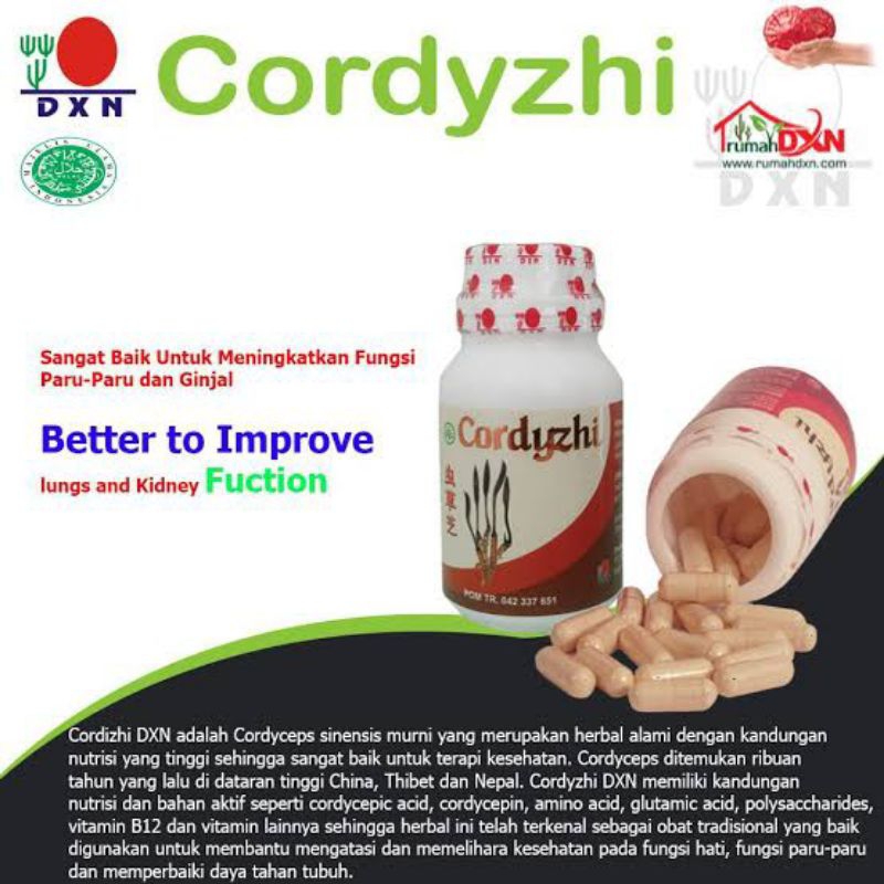 Cordyzhi dxn isi 90 kapsul