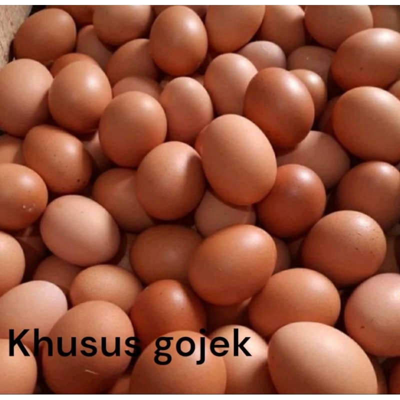 

TELUR AYAM SEGAR 30 BUTIR